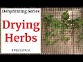 Dehydrating Herbs and Drying Herbs - FOOD DEHYDRATING 101