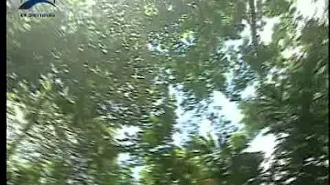 Qual o nome do documento surgiu nesta Conferência conhecida como Rio-92 ou eco-92?