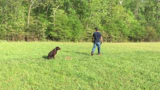 IMG 0029