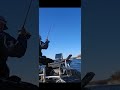 A fun fishing trip on Pommie De Terre Lake Missouri @meandyououtside #fishing #13fishing