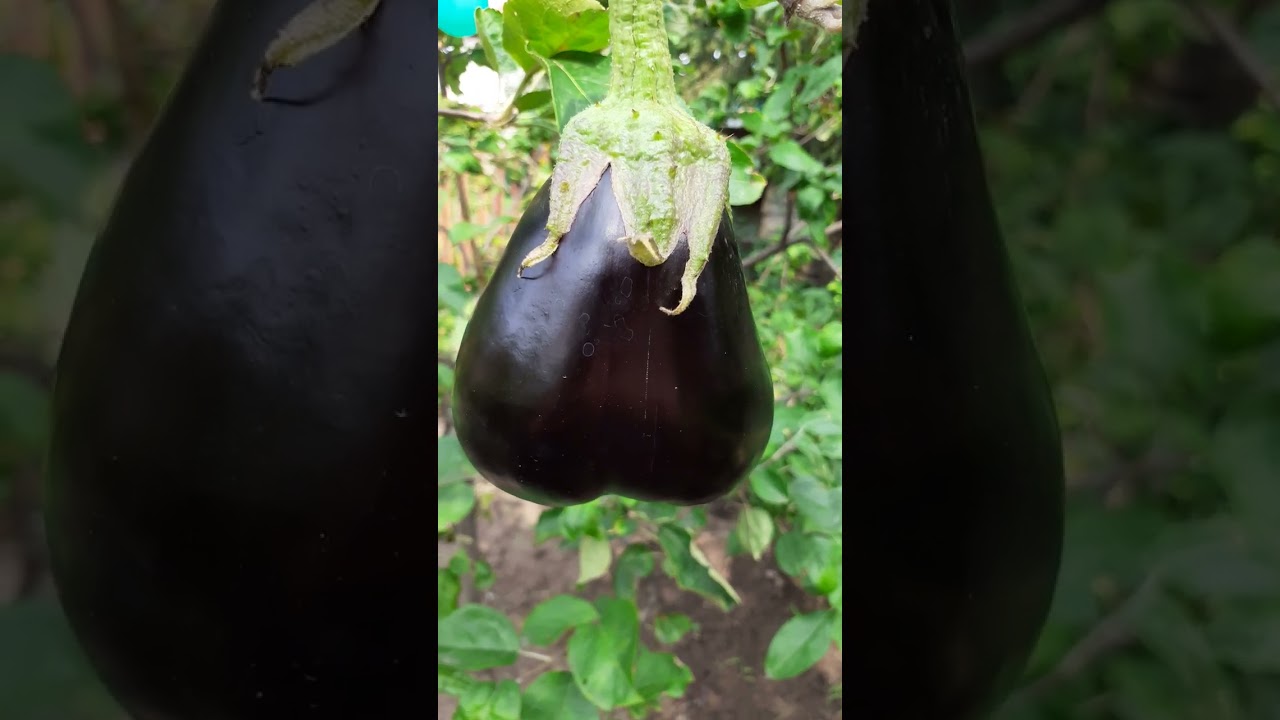 Горячее сердце!