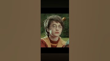 Harry Potter would you rather: (For Harry Potter fans