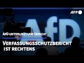 AfD scheitert mit Eilantrag gegen Verfassungsschutzbericht | AFP