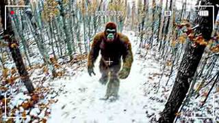 Crystal Clear BIGFOOT EVIDENCE Caught On Camera By Alaskan Hikers