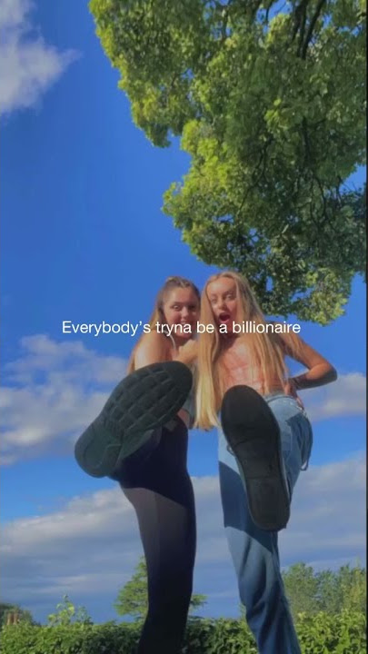 Everybody trying to be a billionaire || Lyrics_tik tok complication || Status_video #viral