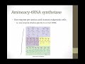 Translation || Cell Biology || Boards and Beyond