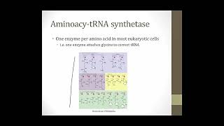 Translation || Cell Biology || Boards and Beyond 