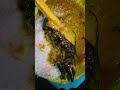Chennai Famous Ginna Bai Kadai #shortsfeed #shorts