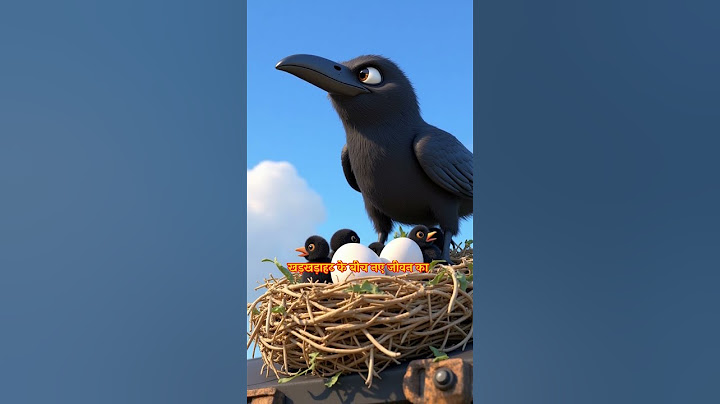 "Mother's love | When the train left and the crow's children were left behind 😢 | Heart Touching AI Story" Crow's love