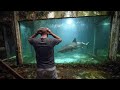 He Found a Shark in an Abandoned Park