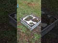 #дача Дачный сезон закрываем