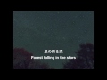 星の降る森:高橋宏樹 (Forest falling in the stars : Hiroki Takahashi)