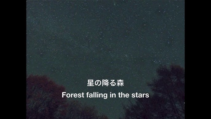 星の降る森 高橋宏樹 Forest Falling In The Stars Hiroki Takahashi Youtube