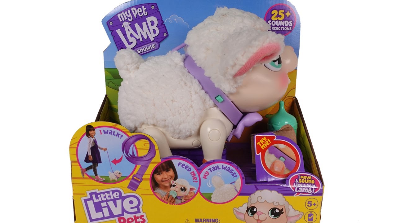 Little Live Pets My Pet Lamb Snowy Unboxing Review - YouTube
