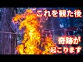 突然、この動画が表示された方は幸運の持ち主です。これはあなたを幸福へと導く動画です。これが観れたあなたには、この後、奇跡が起こります。