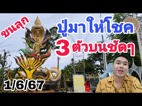 60ตรงๆ หวยเด็ด - เลขฝันงวดก่อน ฝันเห็นงูอีกแล้ว 3ตัวบนตรงๆ1/6/67 เลขดัง