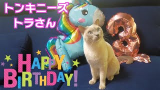 Happy Birthday (#106) by こて虎 猫life 222 views 1 year ago 2 minutes, 50 seconds