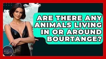 Are There Any Animals Living In Or Around Bourtange? - Exploring The Benelux