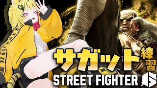 【 スト６ 】虎キャラが実装されたらしいトラじゃん？？？【あおぎり高校/うる虎がーる】