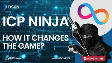 Why Is Everyone Talking About ICP Ninja in 2025?