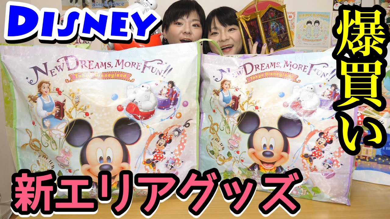 【ディズニー】新エリア！美女と野獣とベイマックスのグッズを爆買い！気が付いたら１２万超え。【購入品紹介】【爆買い】