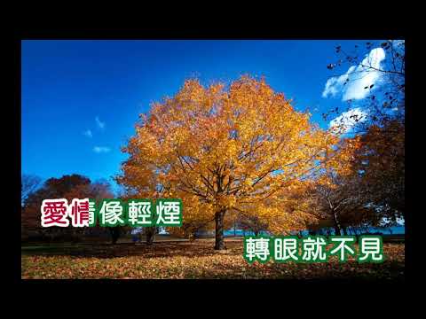 黃曉君 ~ 愛情像輕煙