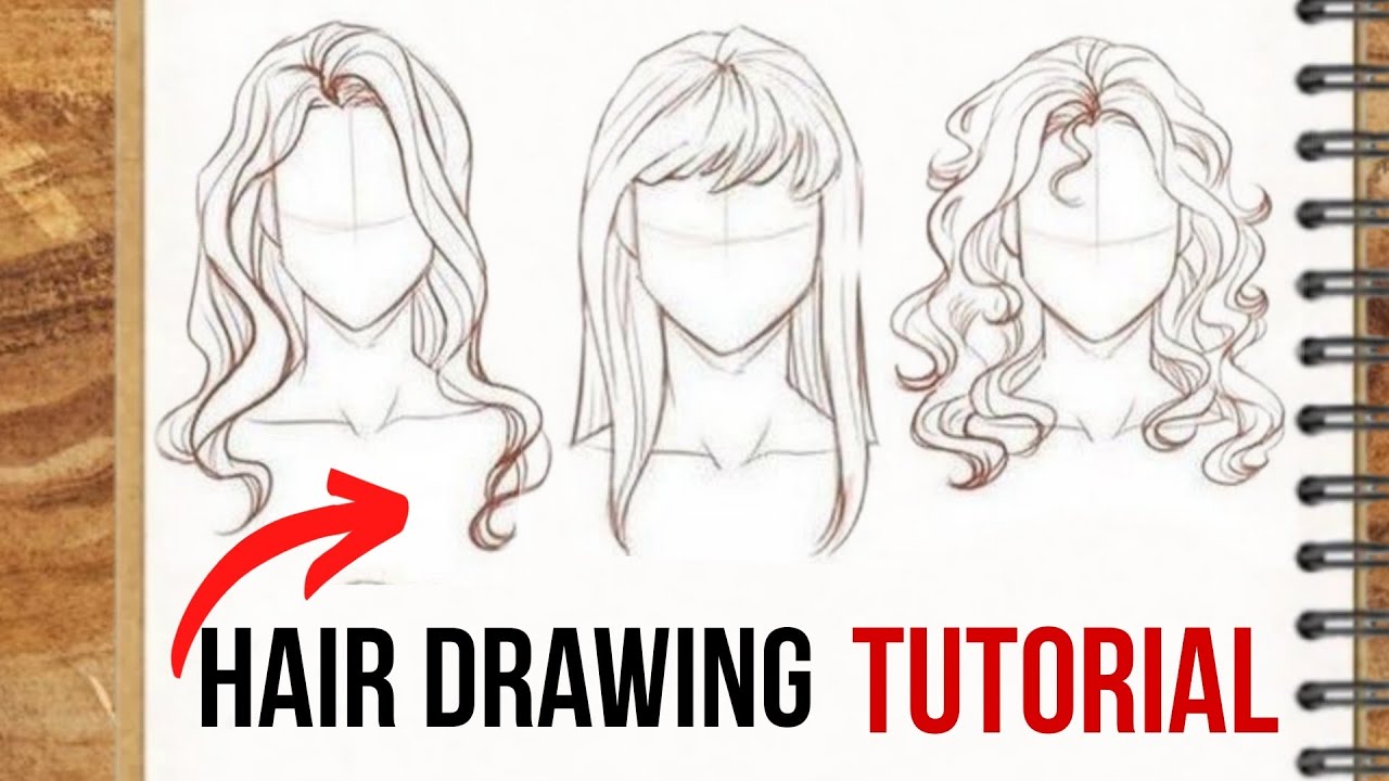 How to Draw Hair | Tutorial For Beginners - YouTube