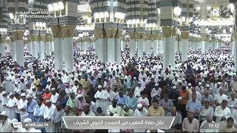 صلاة المغرب للشيخ د. #عبدالمحسن_القاسم 8 صفر 1446هـ سورة البينة كاملة #المسجد_النبوي 
