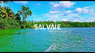[FREE]Salvaje | bass boosted song | freestyle beats #bass#basssong#fullbasstrap#freestyle beats Resimi