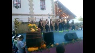 Download Lagu DiFaNi Tánccsoport (Közös tánc) - Szüreti Fesztivál, Törtel - 2015. MP3