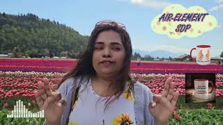 The SDP Song That's Trending Everywhere - Party Vibing