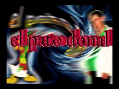 el pato donal-guacha rastrera