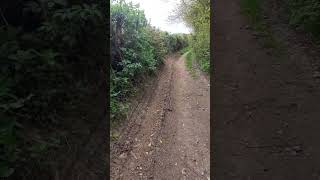 Curiousity! 🚴Where does this bumpy track lead too? #cycling #onfoot #birdsong #windy #staycurious 🧐