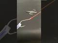 Simple Hook Knot Every Fisherman Should Know👍