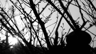 Render (The Children of Man, #2) Book Trailer