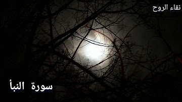 سورة النبأ 💚 تلاوة خاشعة