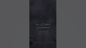 [ إذ نادى ربه نداءً خفيّا ] - للقارئ شريف مصطفى