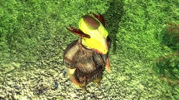 The Meaning of Life Is Not Contained Within this Video - Part 3