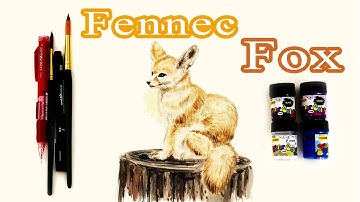 How to Draw a Fennec Fox - Cartoon Drawing