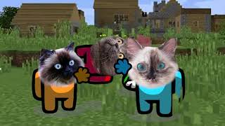 Song Dance Minecraft. Pushcats Cat cartoon animation