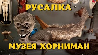 Русалка музея Хорниман в Лондоне. Horniman Museum.