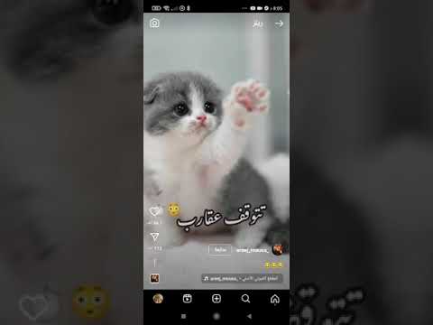 حبايبي كملو الفديو ل اخر 