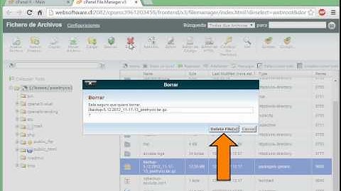 Tutorial: Cómo hacer un respaldo con cPanel 11