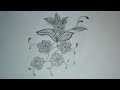 40+ Best Collections Rose Simple Flower Designs For Pencil Drawing