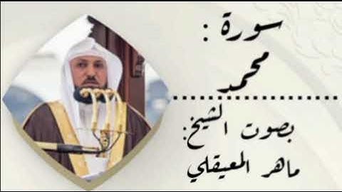 🌿 تلاوة خاشعة تريح القلب | سورة محمد | بصوت الشيخ ماهر المعيقلي 🌿