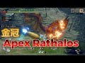 [MHRise] ヌシリオレウス金冠確定クエスト [ガンランス]