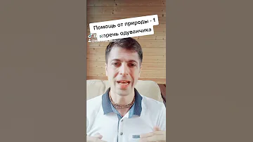 Помощь от природы - корень одуванчика