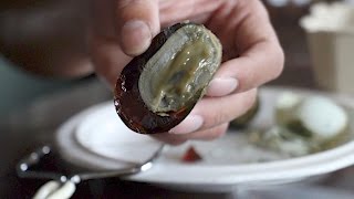 1000 Year Old (Century) Egg - Food Review