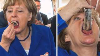 ♫ Fraud Chocolate - I believe in Merkel (aka You Sexy Thing)