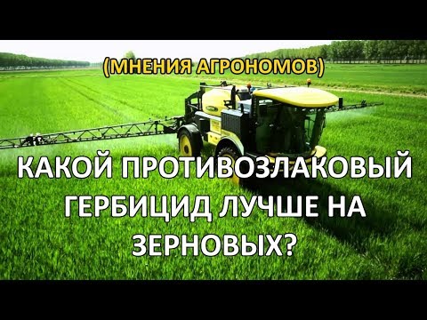 Применение гербицидов против овсюга и просо на пшенице и ячмене